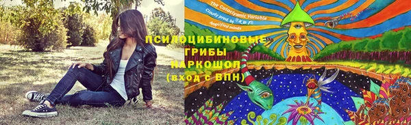 ECSTASY Козельск