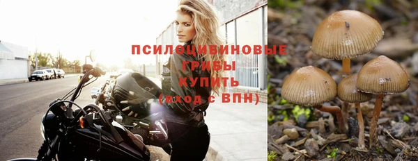 таблы Корсаков