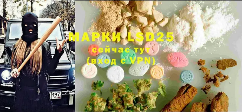 это как зайти  наркошоп  Жиздра  Лсд 25 экстази ecstasy 