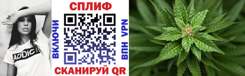 Бошки марихуана SATIVA & INDICA  OMG вход  Жиздра 